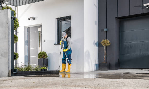 Best Solar Panel Cleaning  in Licking, MO